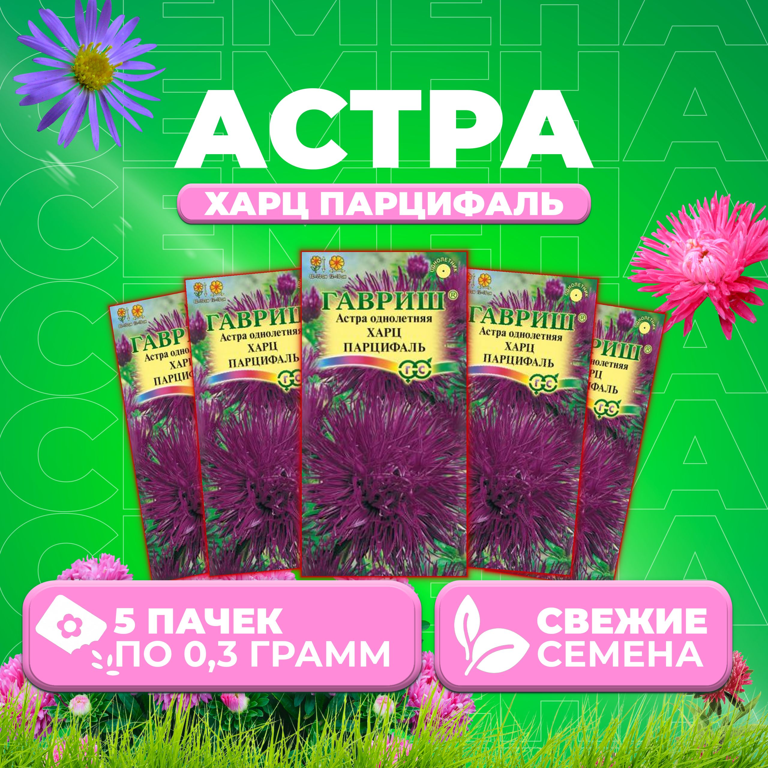 

Семена Астра Харц Парцифаль, тонкоигольчатая, 0,3г, Гавриш, Цветочная коллекция 5 уп