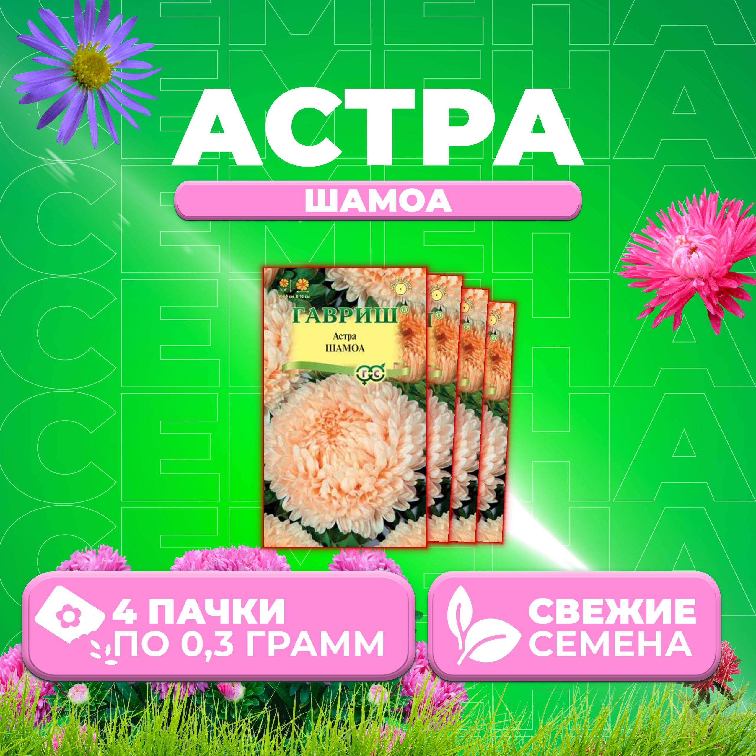 

Семена Астра Шамоа, пионовидная, 0,3г, Гавриш, Цветочная коллекция 4 уп