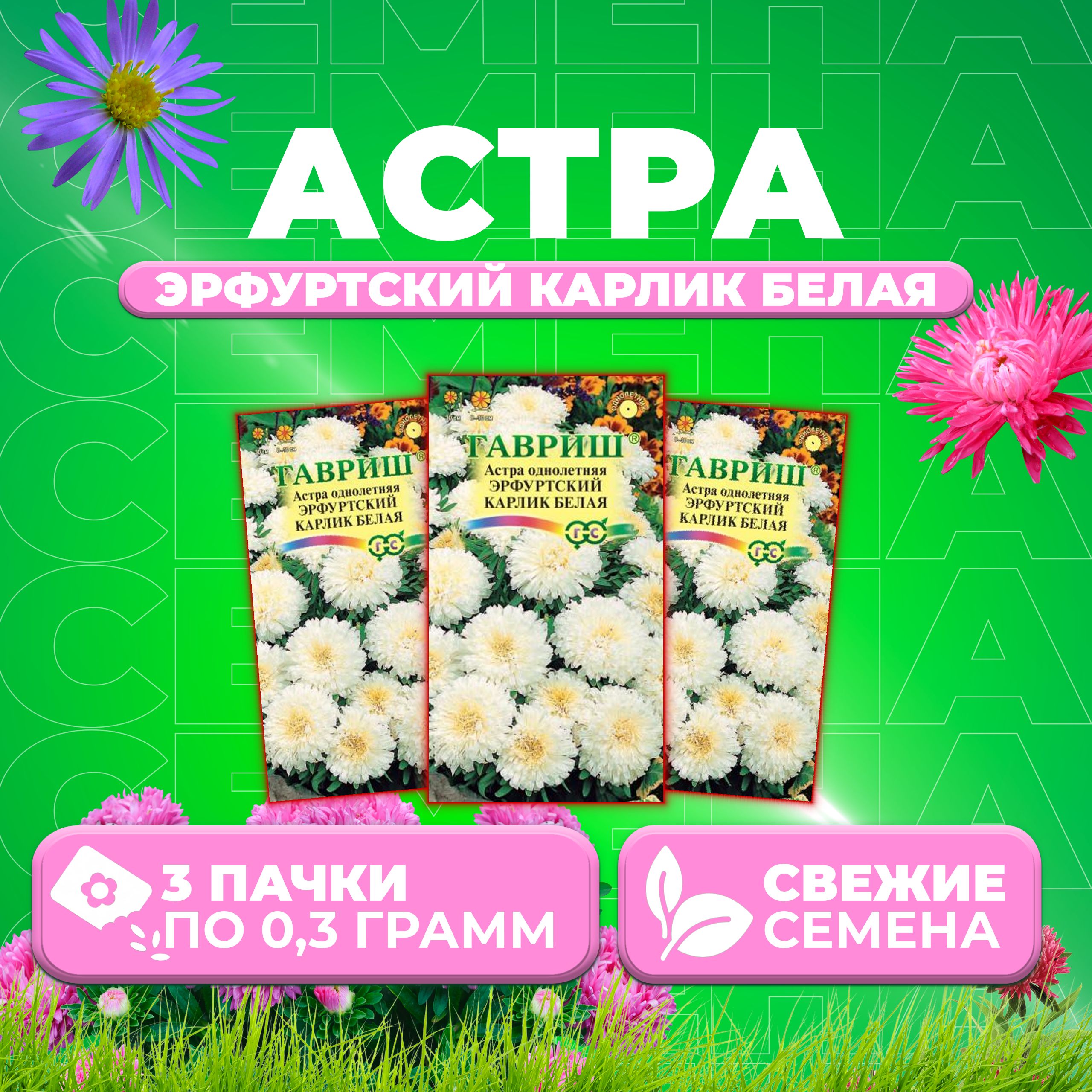 

Семена Астра Эрфуртский карлик белая, 0,3г, Гавриш, Цветочная коллекция 3 уп