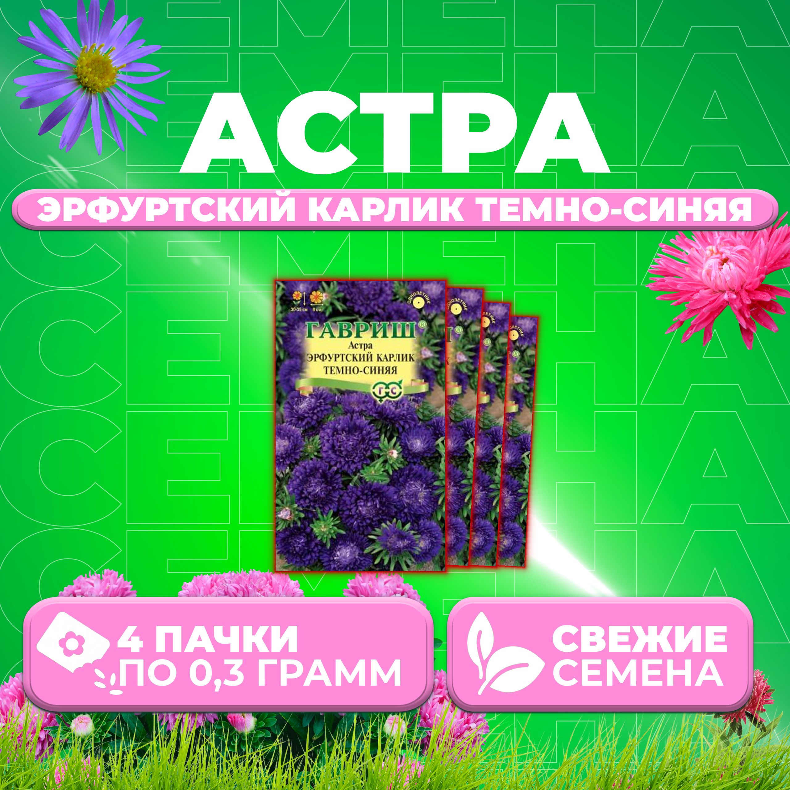 

Семена Астра Эрфуртский карлик темно-синяя, 0,3г, Гавриш, Цветочная коллекция 4 уп