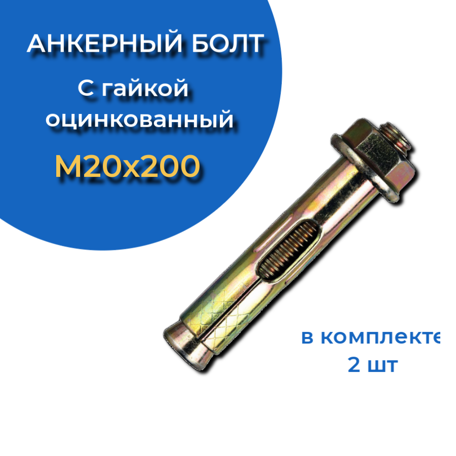 Анкерный болт с гайкой 20х200 (2 шт.)