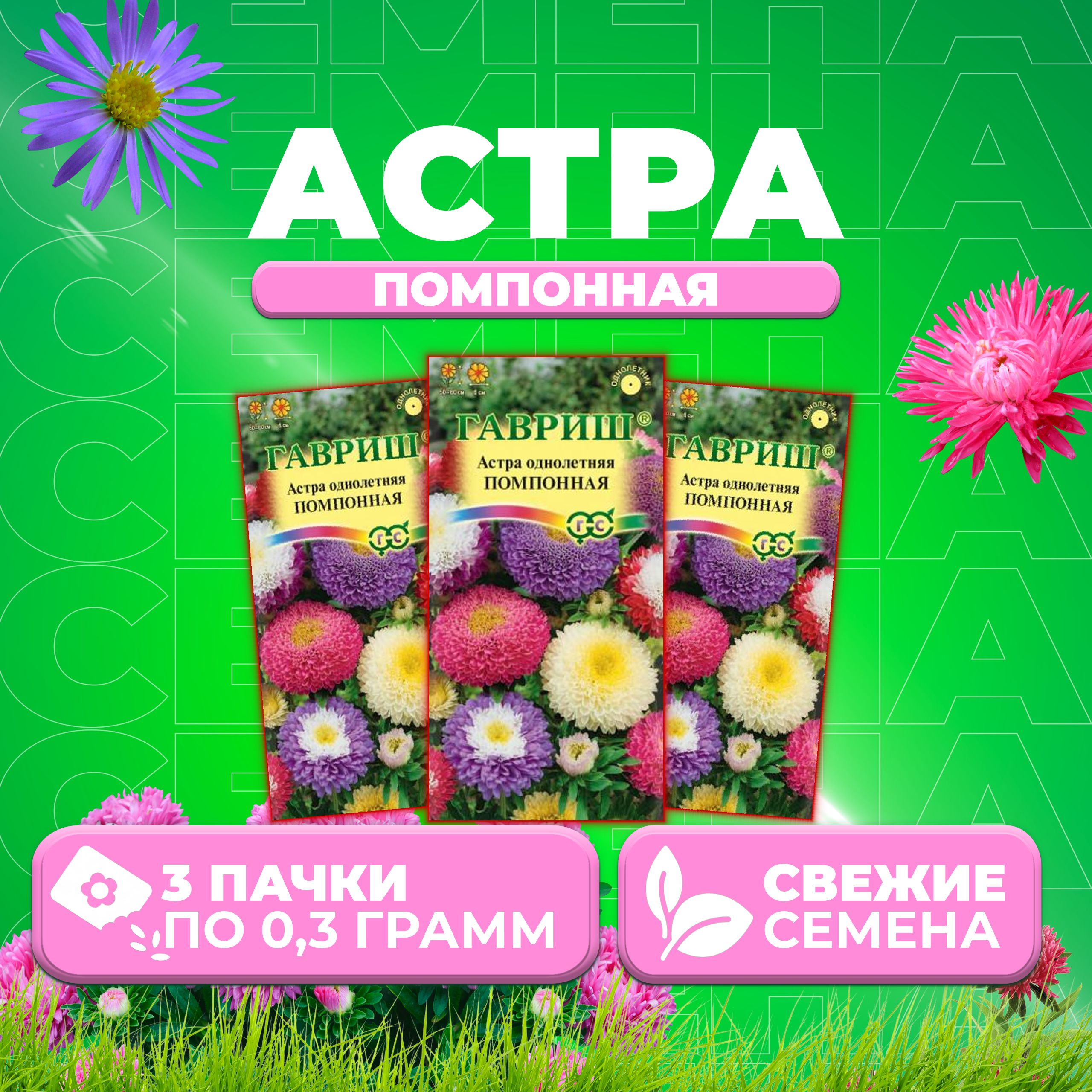 

Семена Астра Помпонная, смесь, 0,3г, Гавриш, Цветочная коллекция 3 уп
