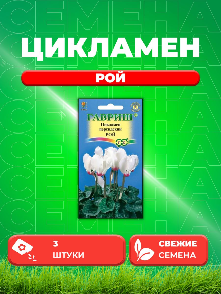 

Семена Цикламен Рой персидский* 3 шт.