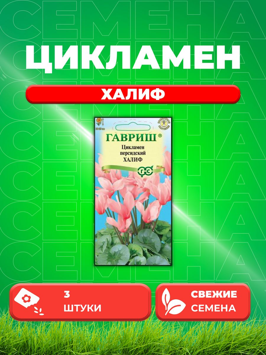 Купить Семена Цикламена Недорого