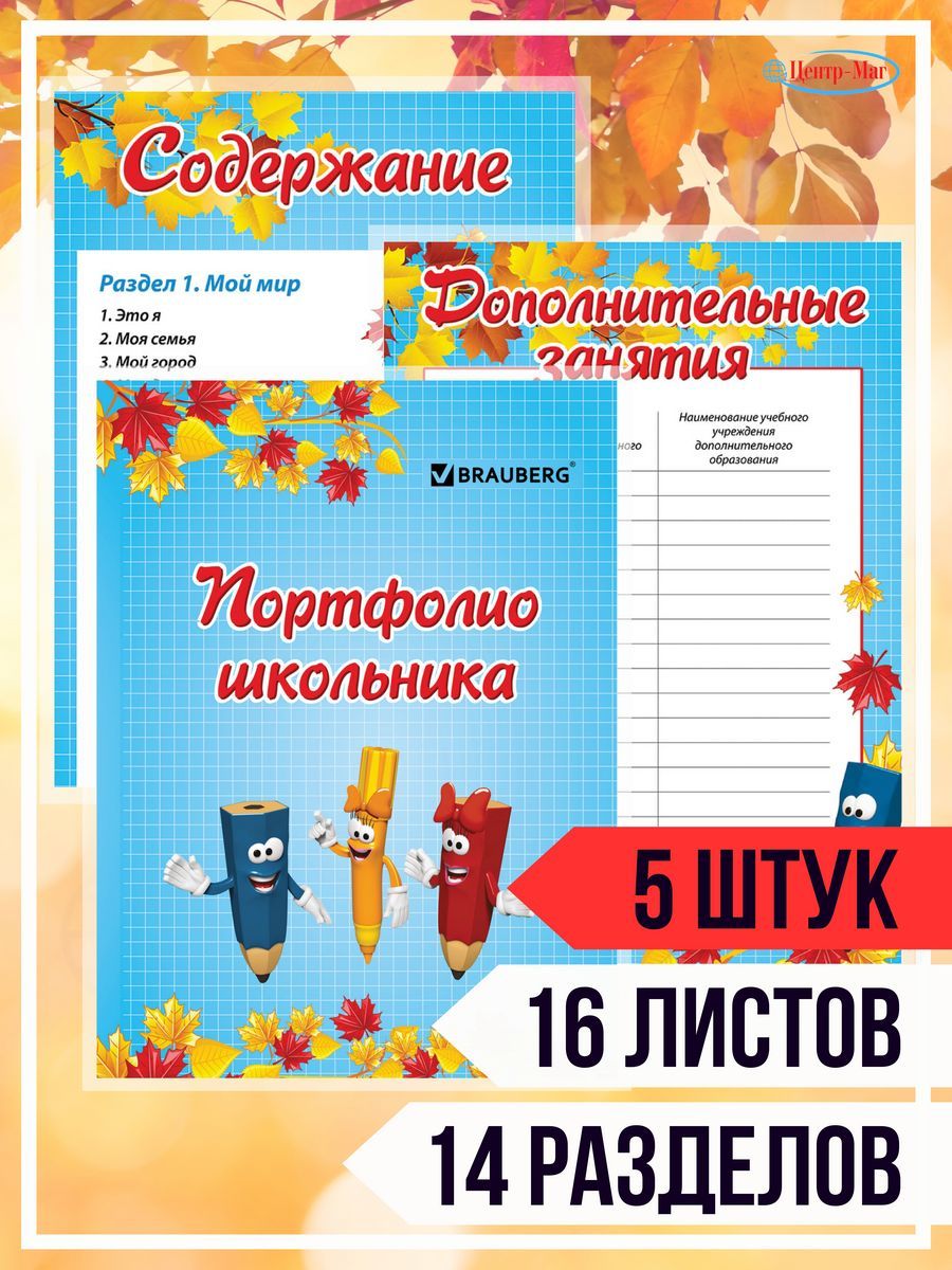 

Листы - вкладыши для портфолио школьника 5 шт, Разноцветный