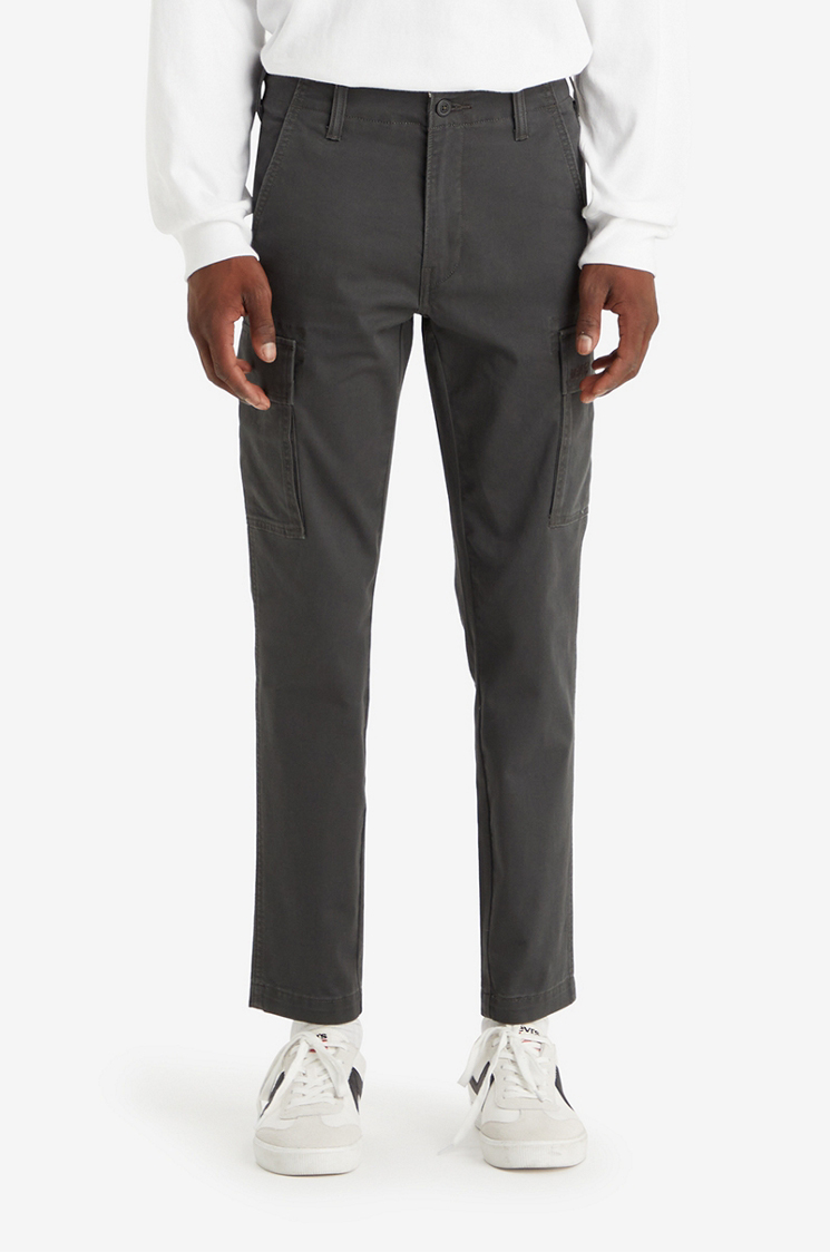 

Брюки мужские Levi's XX CARGO SLIM BLACKS серые 30/30, Серый, XX CARGO SLIM BLACKS