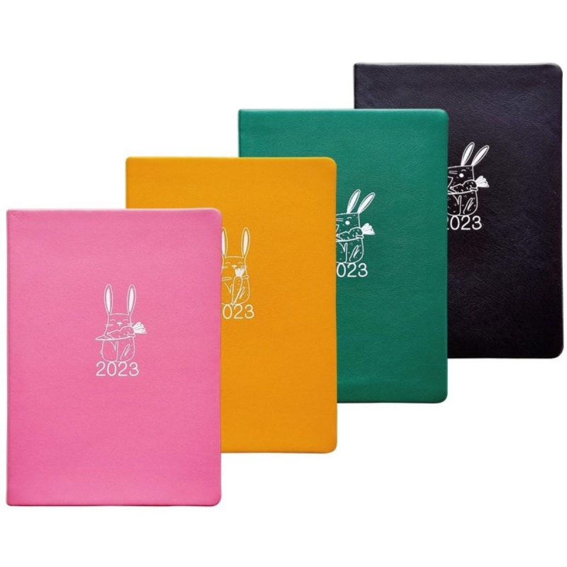 

Ежедневник InFolio датированный 2023, 140х200 мм, 352 с. Rabbit I1157/black