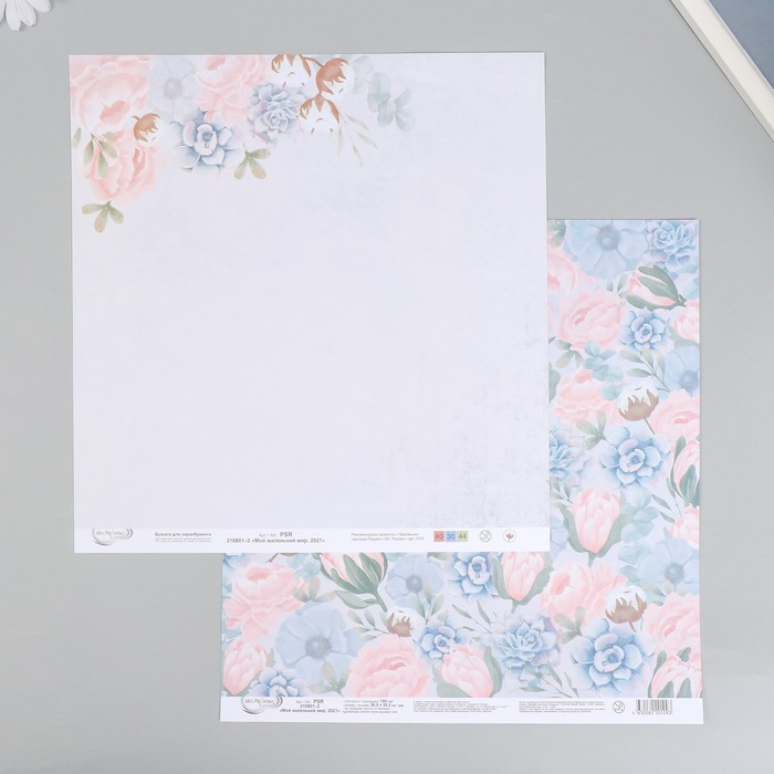 

Бумага для скрапбукинга "Мой маленький мир" 30х30 см, 190 г/кв.м №2 (10 шт), Разноцветный