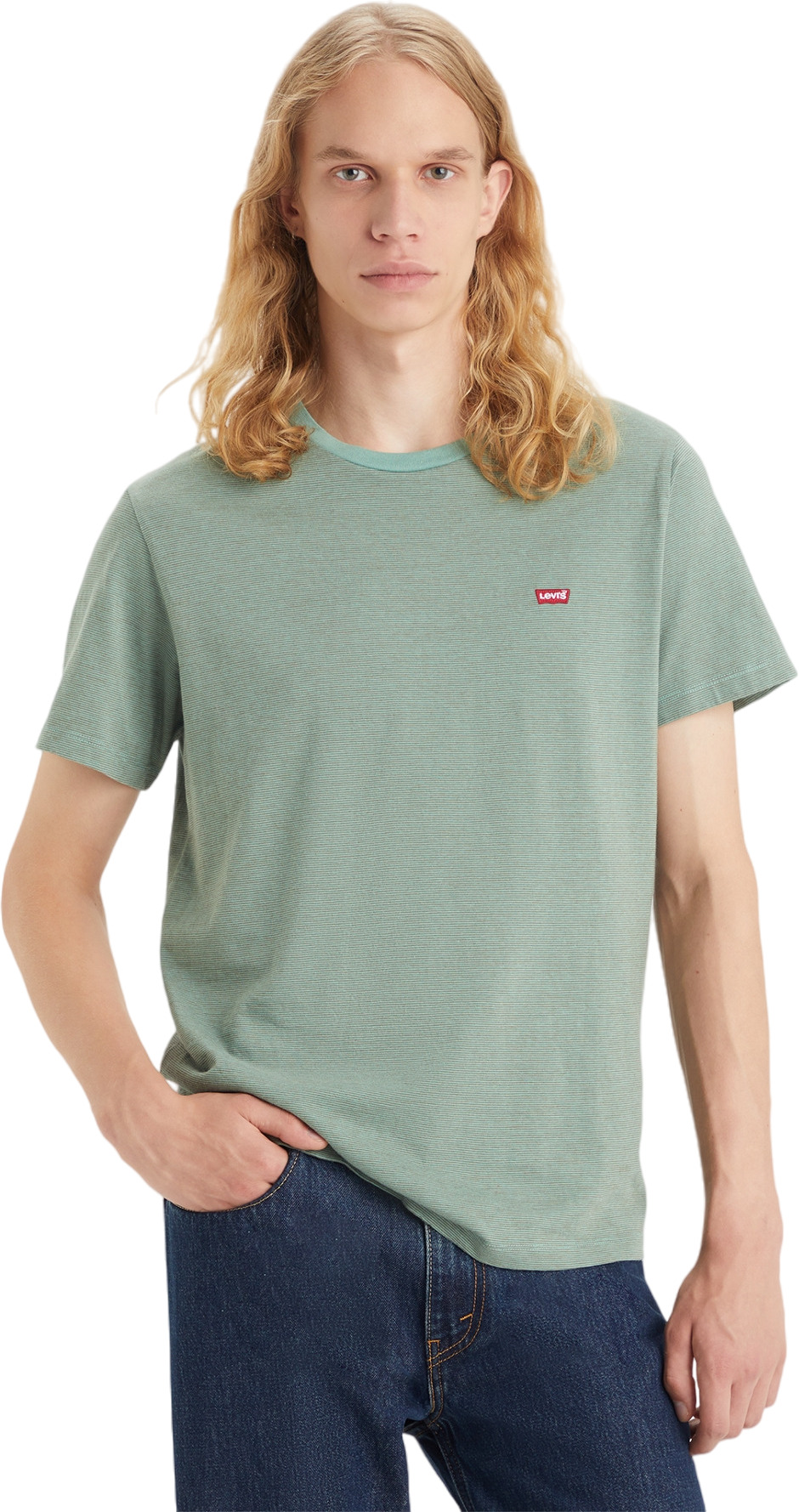 

Футболка мужская LEVIS SS CLASSIC HM TEE MULTI-COLOR зеленая L, Зеленый, SS CLASSIC HM TEE MULTI-COLOR
