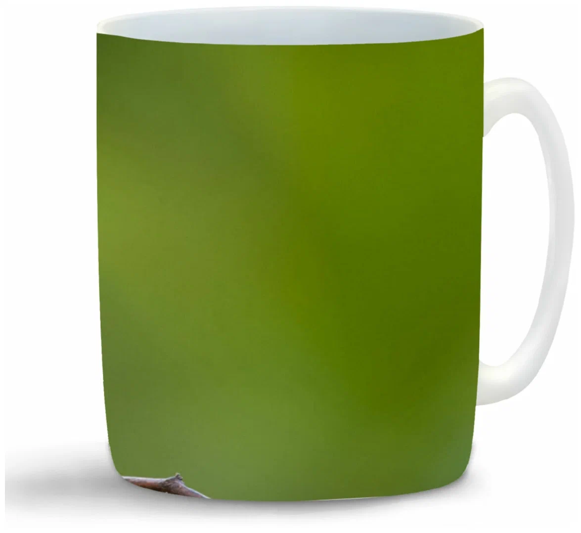 

Кружка CoolPodarok Тукан зелёный фон