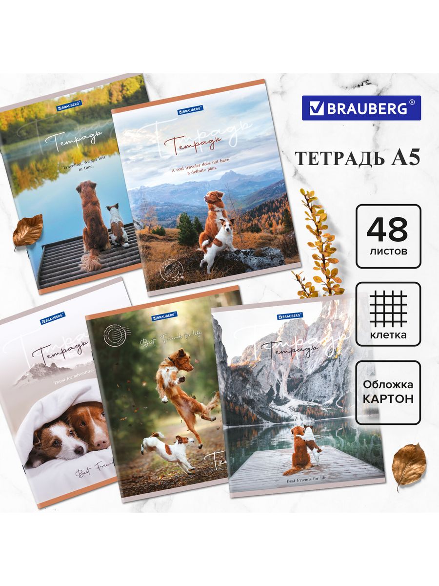

Тетради А5 48 л, клетка, обложка картон, Best Friends, 20 шт