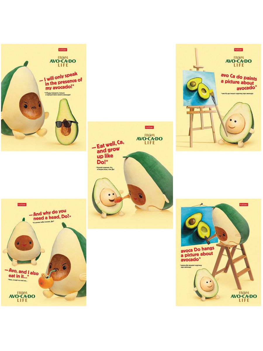 

Тетради А5, 48 л, клетка, обложка картон AvoCaDo life 20 шт