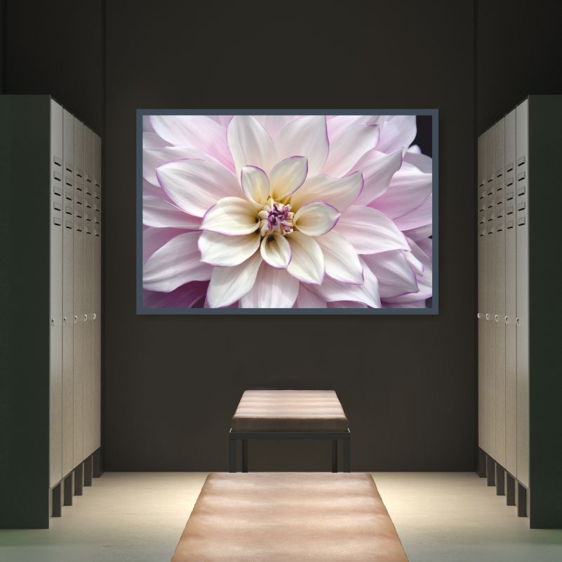 

Постер на стену ПолиЦентр Цветок Розового Георгина 50х40 см, ЦветокРозовогоГеоргина