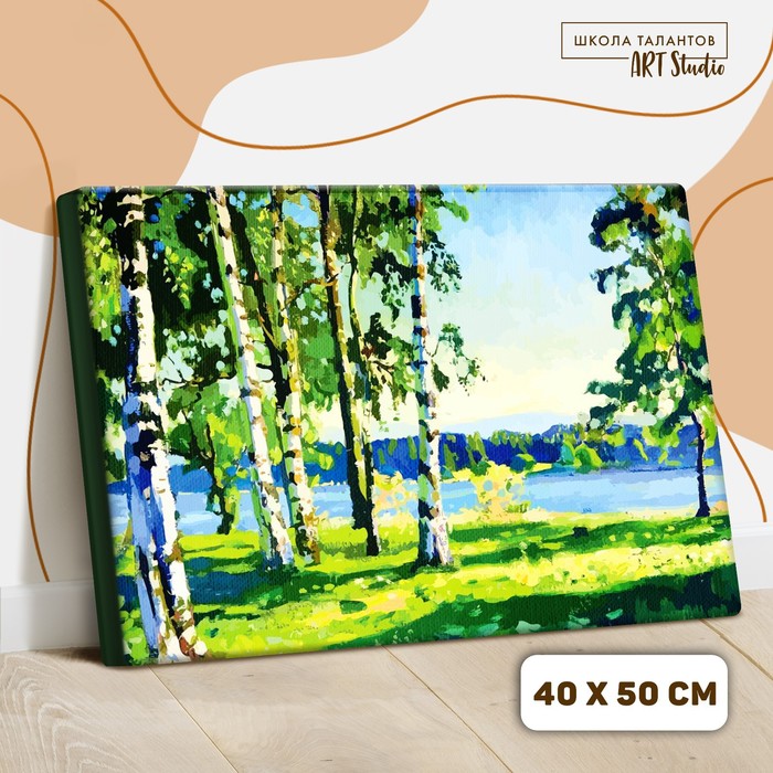 

Картина по номерам на холсте с подрамником «Березовая роща» 40x50 см