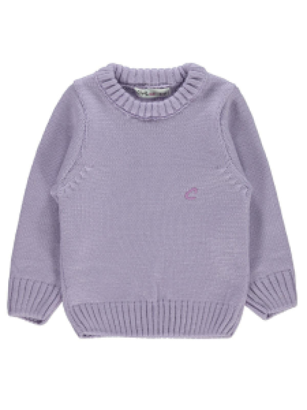 

Свитер Civil 45A687337K21-4, 4-5 лет, лиловый (доставка из-за рубежа), 45A687337K21-4