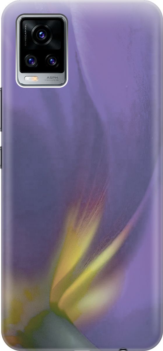 

Силиконовый чехол на Vivo V20 "Фиолетовая фиалка", Желтый;фиолетовый, 159672