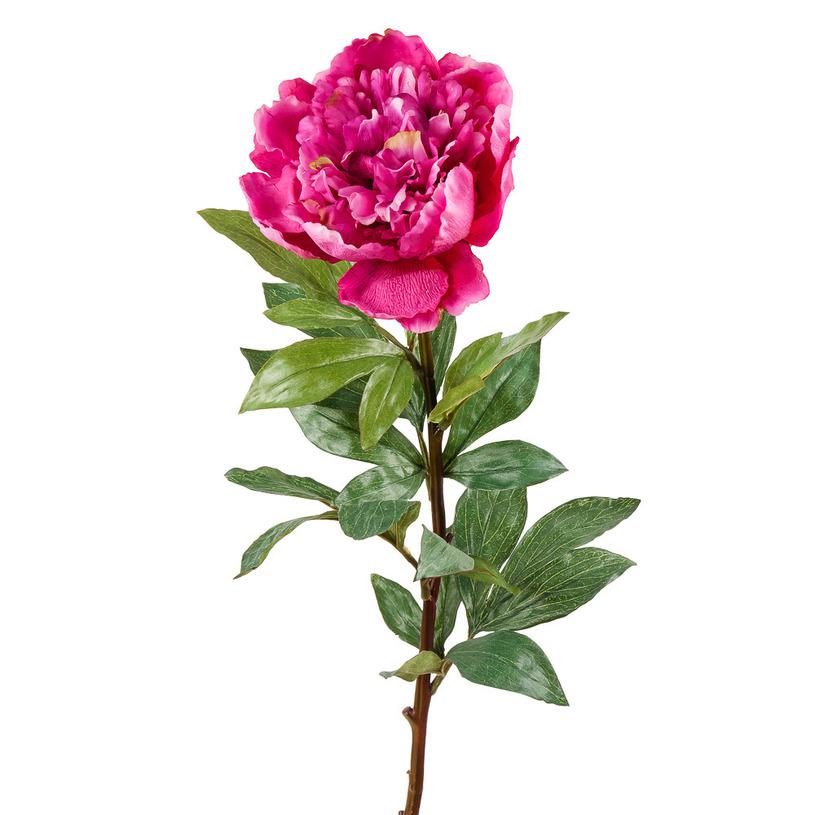 

Пион малиновый Decor-of-today КА22033, КА22033