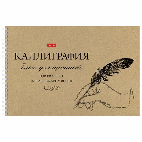 

Тетрадь для каллиграфии и леттеринга А4 30л. HATBER гребень бумага 100г/м Пиши крас 30Тп4т