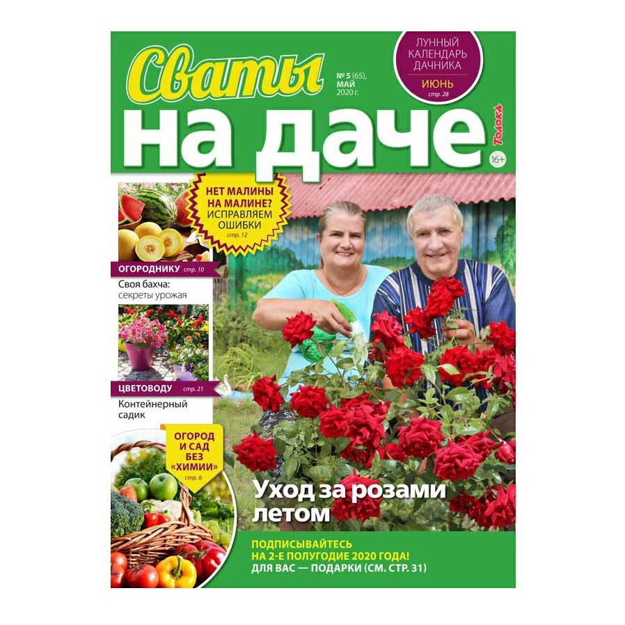 

Журнал Сваты на даче