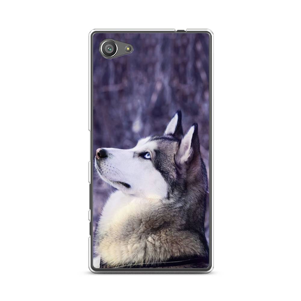

Чехол для Sony Xperia Z5 compact "Хаски 1", Фиолетовый;белый, 52250-1