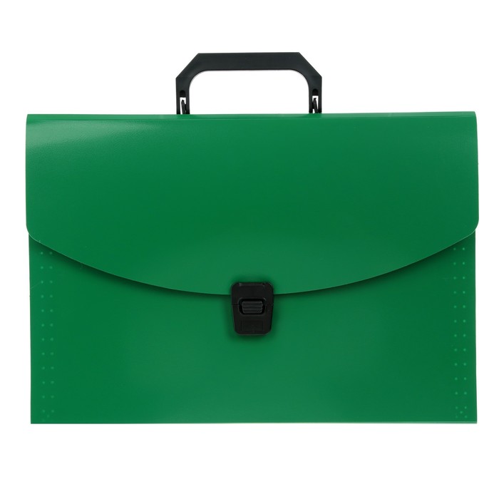 

Папка-портфель А4 Calligrata, 13 отделений, 700 мкм, до 300 листов, зелёная, Зеленый
