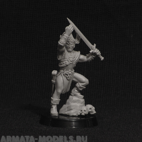 

barb barbarian king
