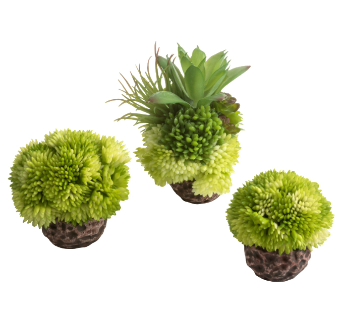 фото Искусственное растения для аквариума biorb coral ball set green зеленые коралловые шары