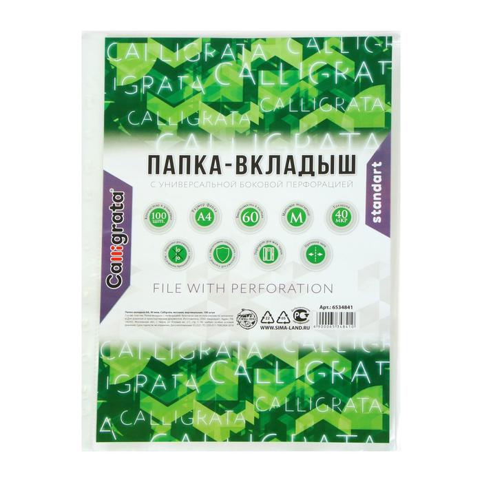 

Файл-вкладыш А4, 40 мкм, Calligrata, матовый, вертикальный, 100 шт