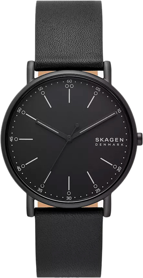 

Наручные часы мужские Skagen SKW6902, SKW6902