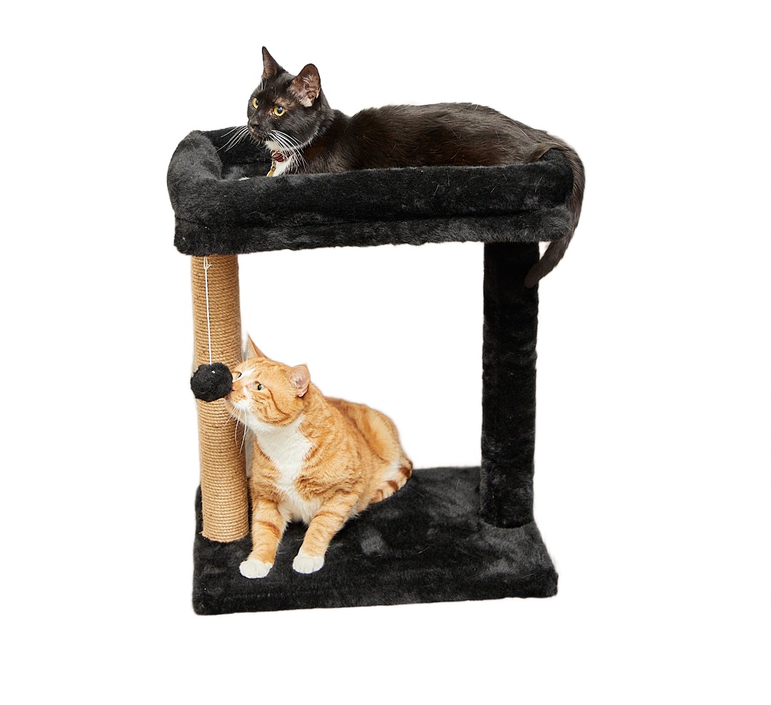 Когтеточка для кошек Бриси Вау Биг с бортиком, лежаком, 50 х 35 см, столбик 50 см, черный
