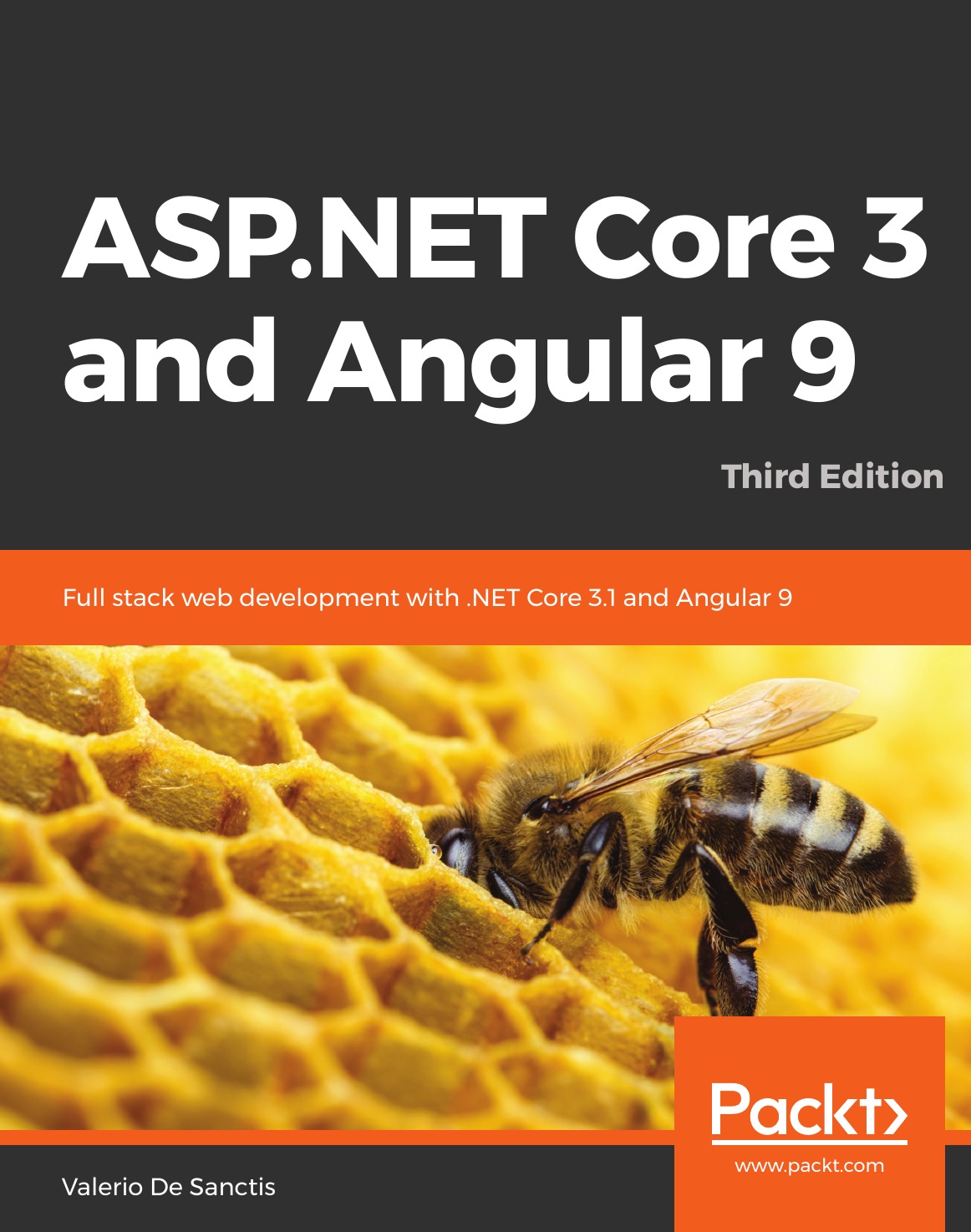 

ASP.NET Core 3 and Angular 9 - Third Edition