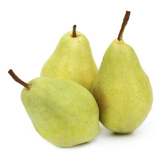 

Груши Санта Мария