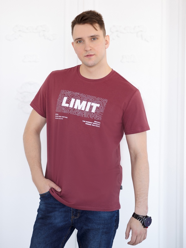 

Футболка мужская LIDEKO 658-23 бордовая 104, Бордовый, 658-23