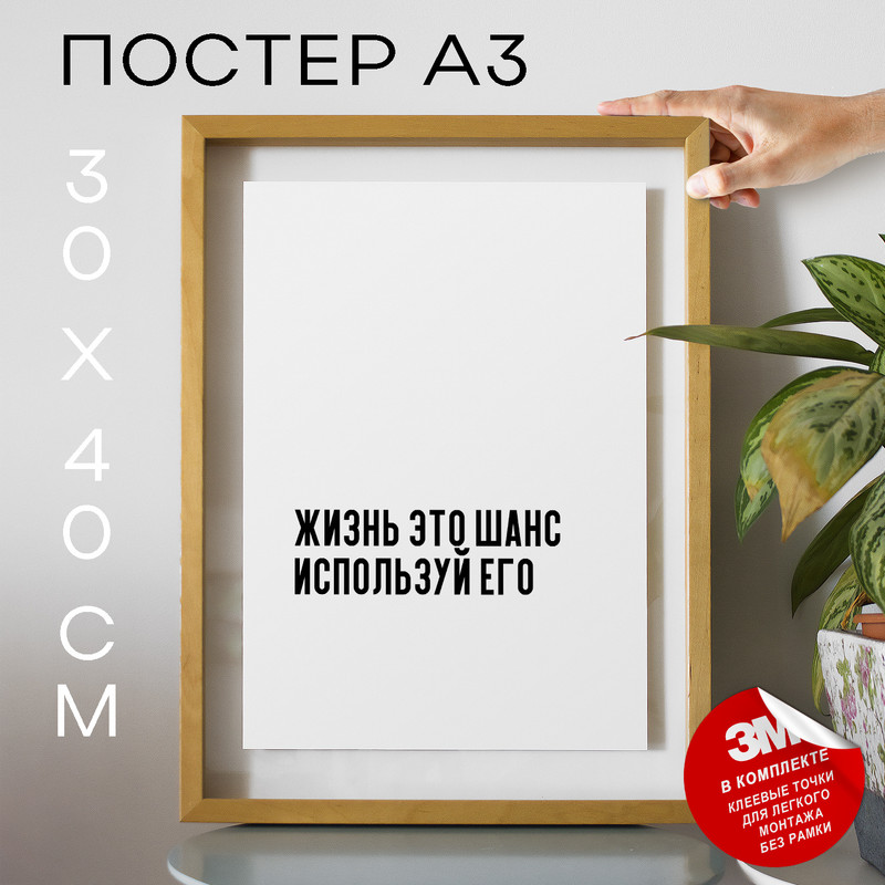 

Постер Брат Жизнь это шанс используй его PS475 30х40, рамка А3, PS475