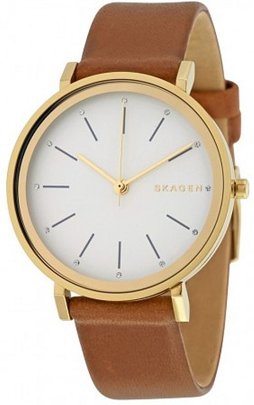 Наручные часы унисекс Skagen SKW2512