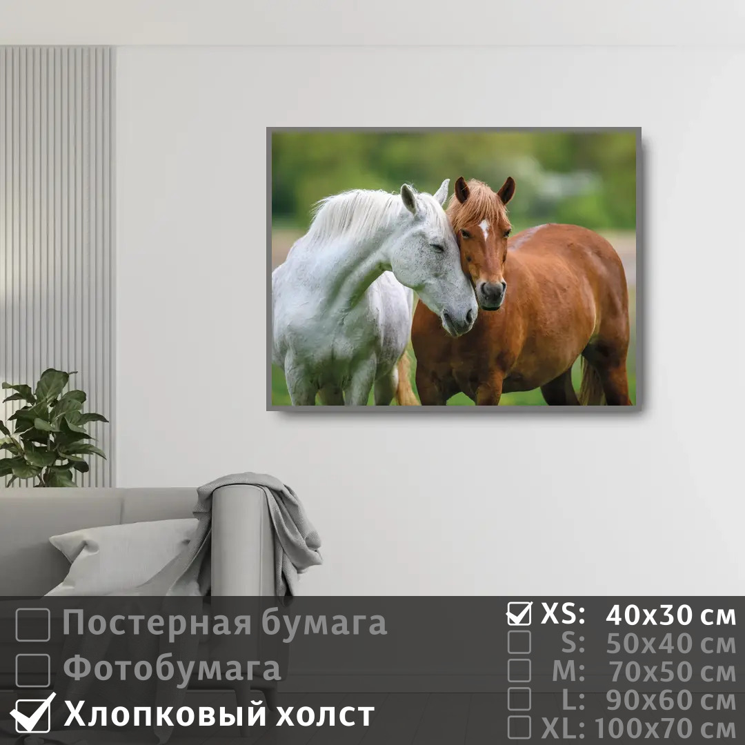 

Постер на холсте ПолиЦентр Две лошади 40х30 см, ДвеЛошади