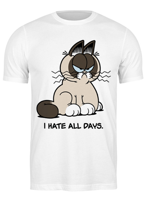 

Футболка мужская Printio Грустный кот (grumpy cat) белая 2XL, Белый, Грустный кот (grumpy cat)