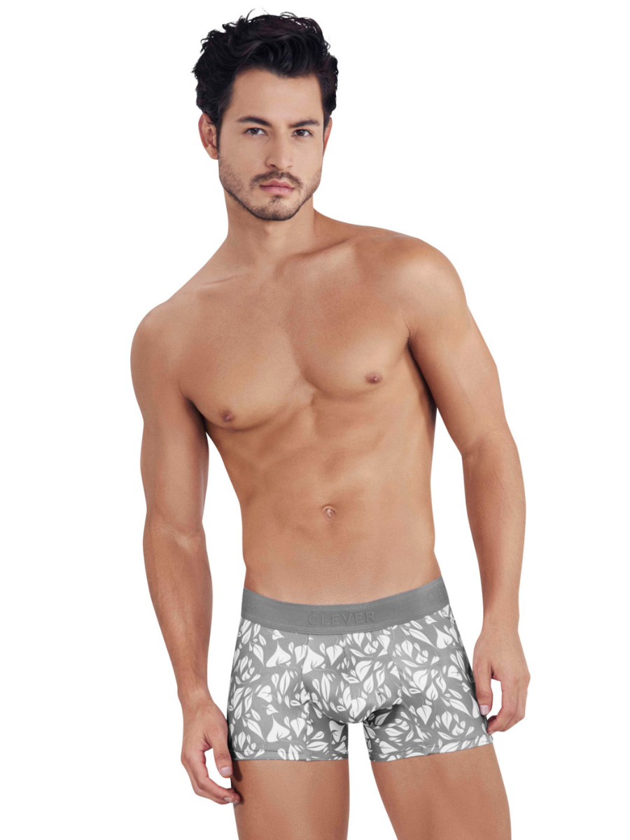 

Трусы мужские Clever Masculine Underwear 1456 серые XL, Серый, 1456
