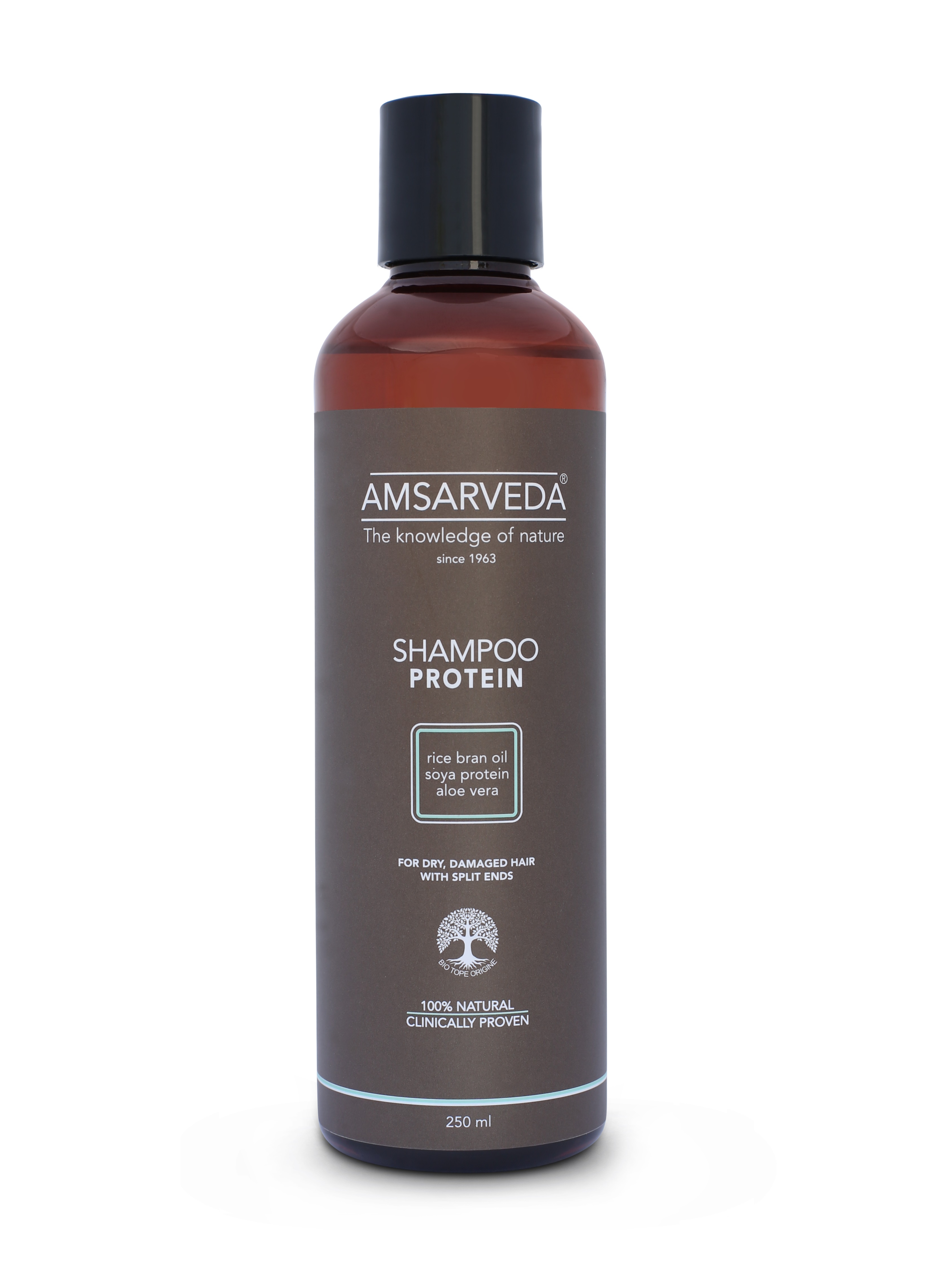 фото Протеиновый шампунь натуральный с амлой и протеинами amsarveda shampoo protein 250 мл