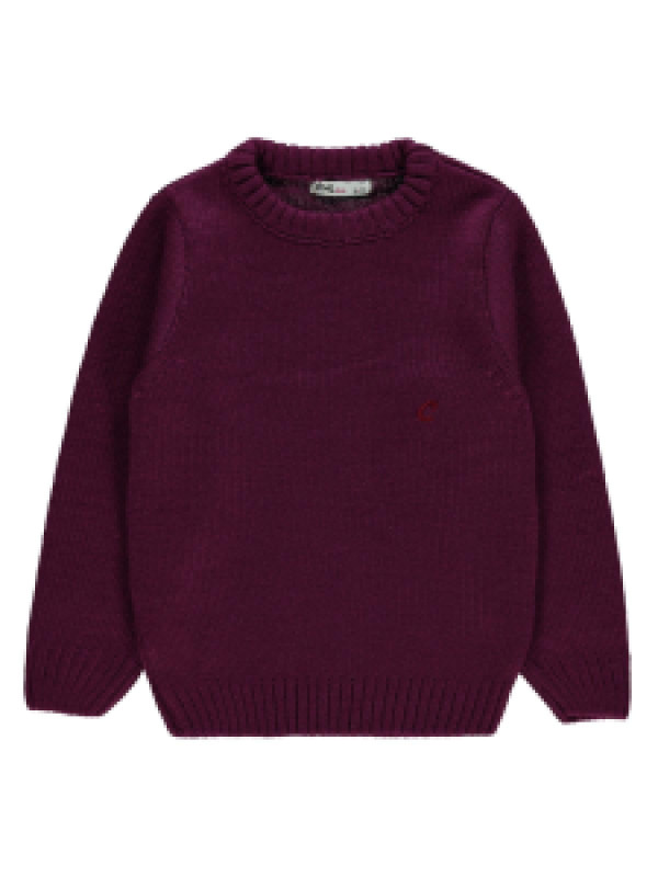 

Свитер Civil 45A683371K21, 7-8 лет, сливовый (доставка из-за рубежа), 45A683371K21