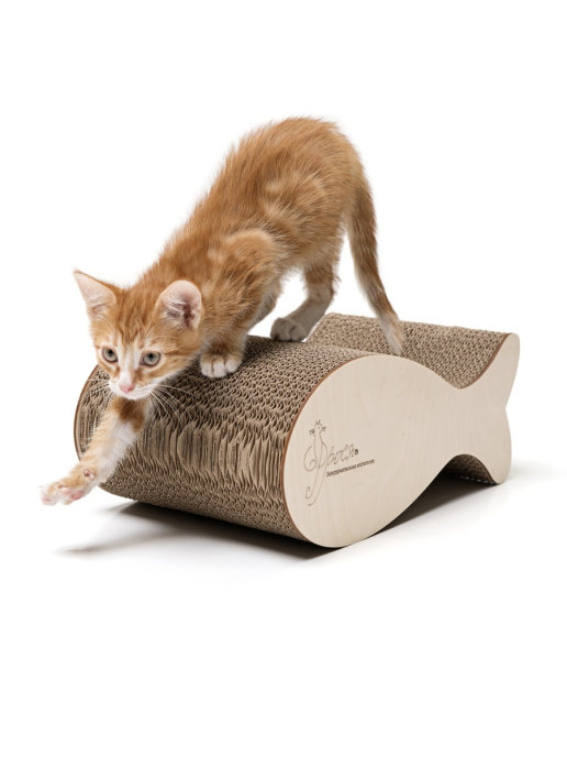 фото Когтеточка фрося frosya_1