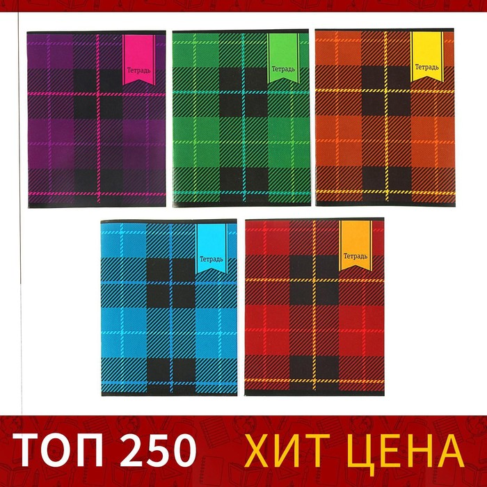 

Тетрадь 48 листов в клетку Calligrata "Шотландка", обложка мелованный картон, блок №2, бел