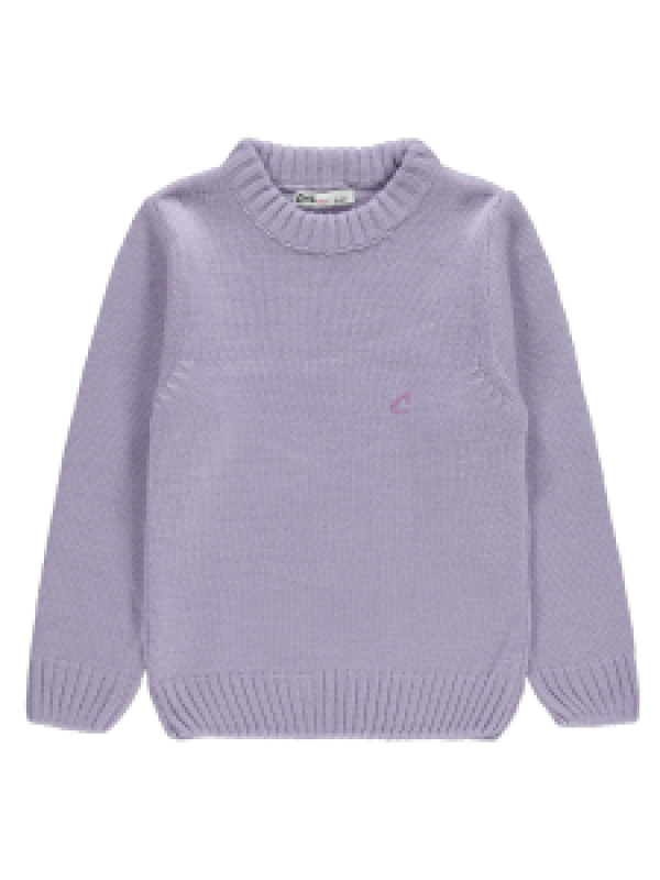 

Свитер Civil 45A683371K21-1, 7-8 лет, лиловый (доставка из-за рубежа)