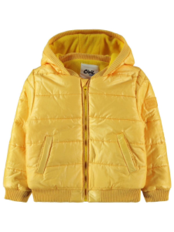

Куртка Civil 21A112002K21-1, 9-10 лет, оранжевый (доставка из-за рубежа), 21A112002K21-1
