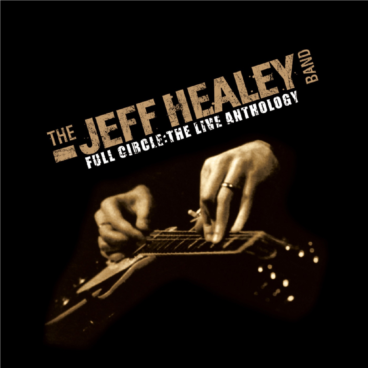 

The Jeff Healey Band Full Circle-The Live Anthology