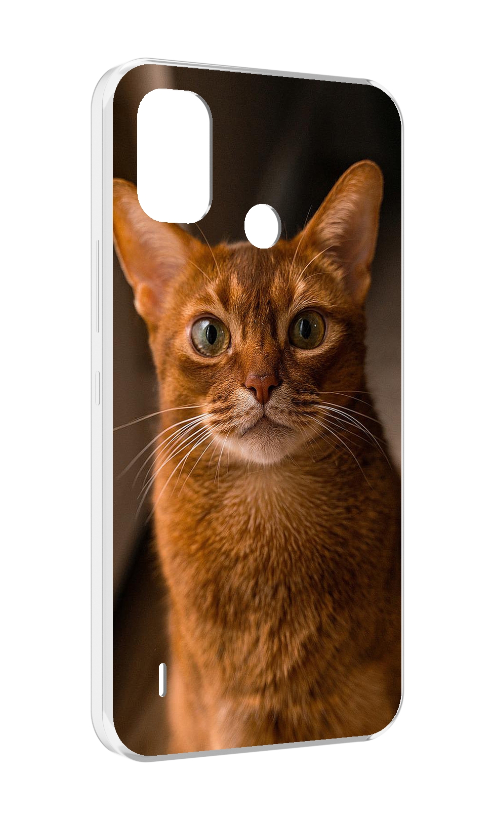 

Чехол MyPads порода кошки абисинская для Itel A48, Прозрачный, Tocco