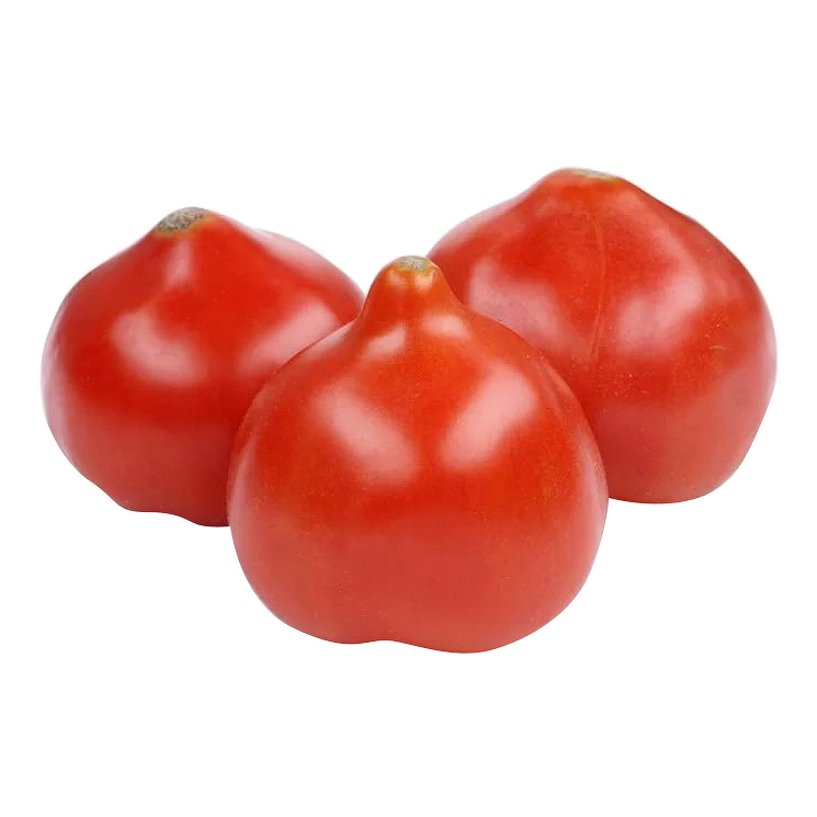 Сорт помидор с носиком как называется с фото