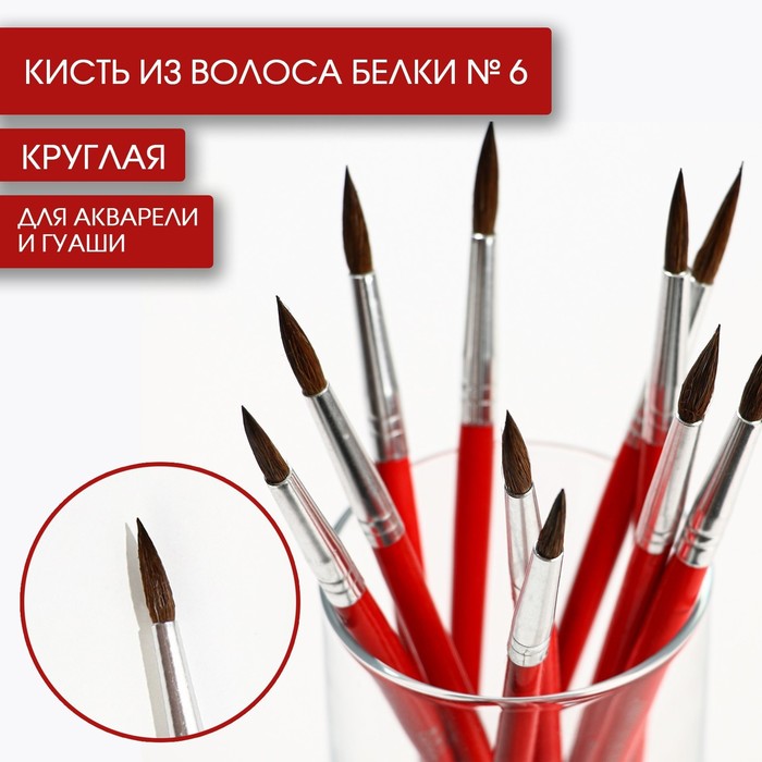 Кисть из волоса белки круглая № 6, ARTLAVKA (Короткая ручка)(10 шт.)