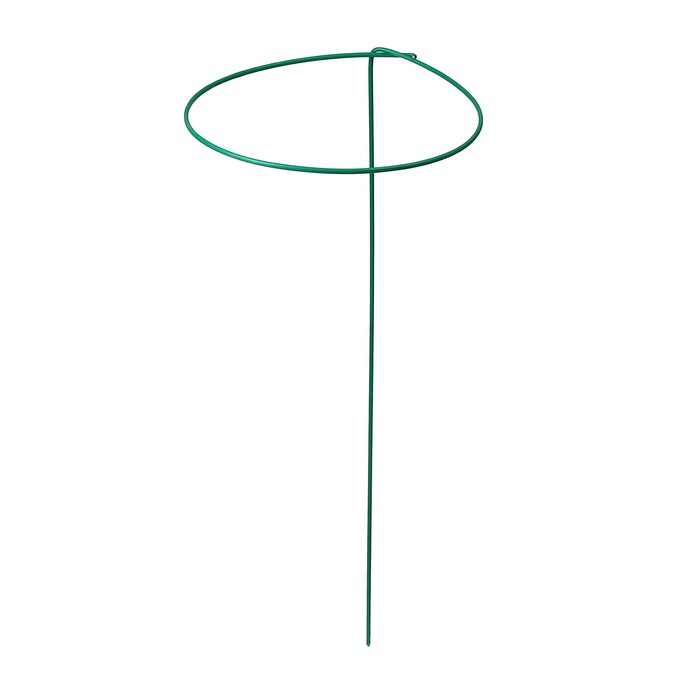Кустодержатель для цветов, d = 30 см, h = 70 см, ножка d = 0.3 см, металл, зелёный (5 шт)