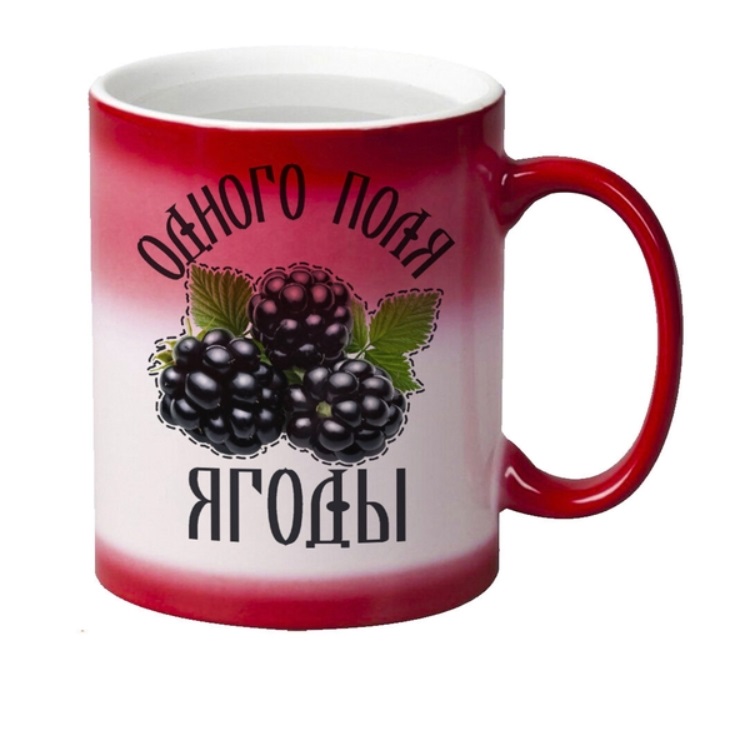 

Кружка CoolPodarok Одного поля ягоды